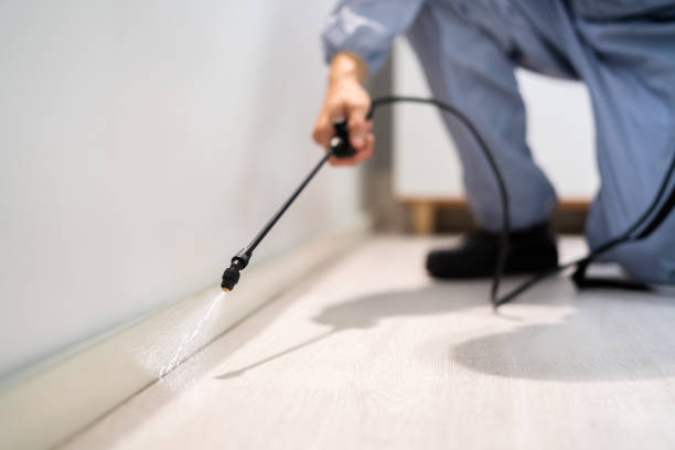 Certified termite inspector examining foundation in Moonachie