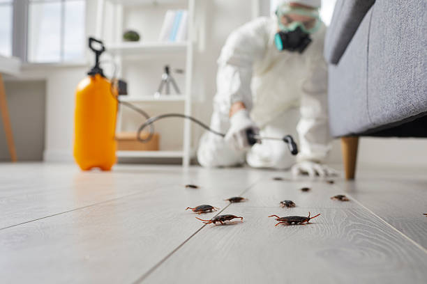 Post-Treatment Bed Bug Interceptor Monitoring in Moonachie