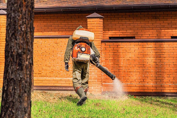 Bed Bug Clearance Verification and Documentation in Moonachie